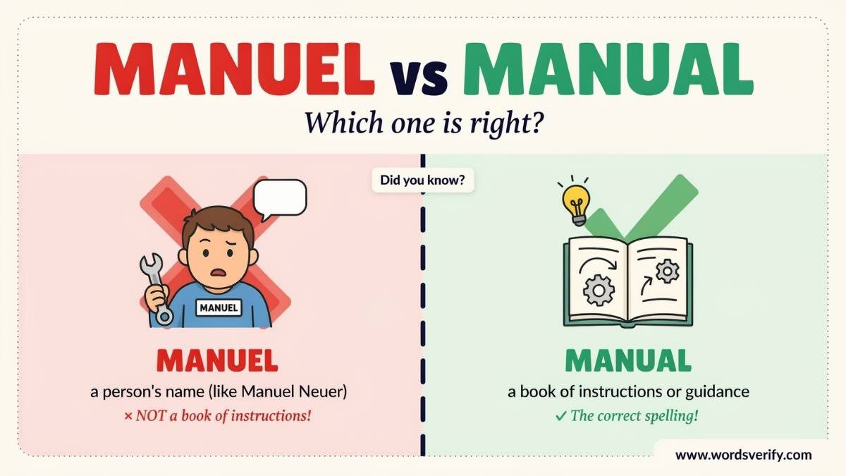 Manual Book Meaning and Instruction Manual Meaning