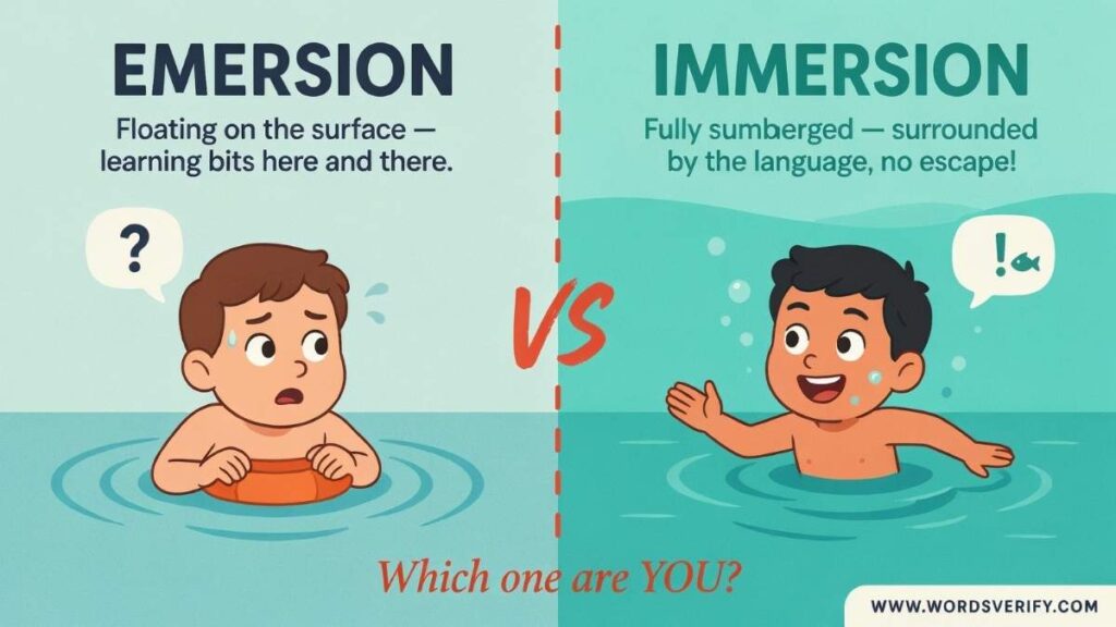 Emersion vs Immersion which one is correct?