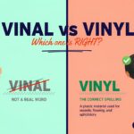 Vinal vs Vinyl Which one Is Correct?